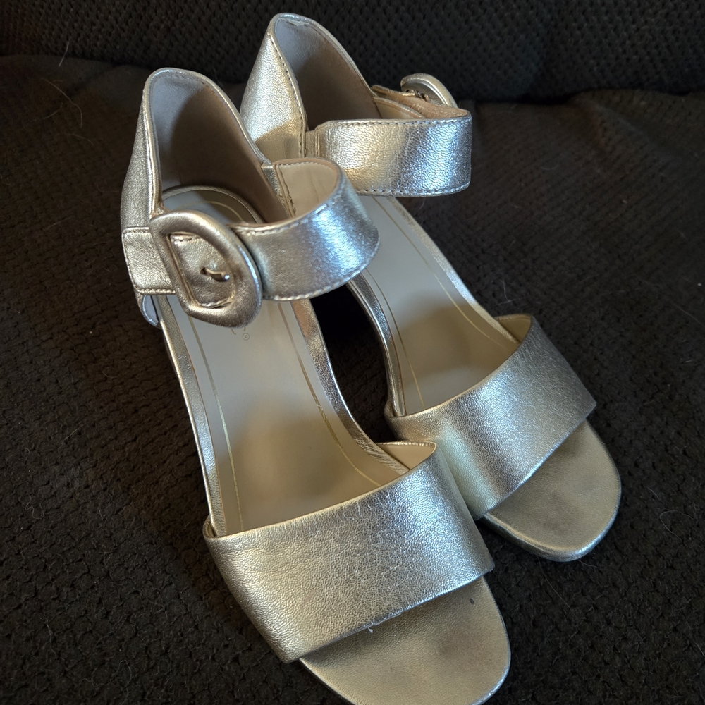 Vionic Gold Chunky Heels